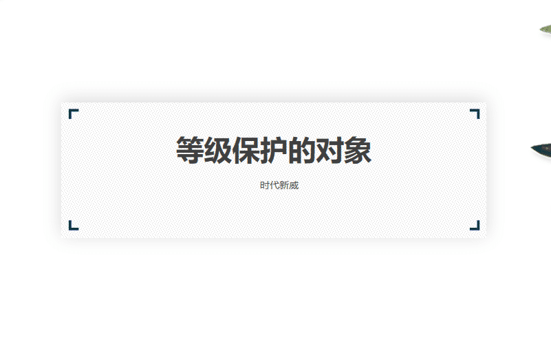 等级保护对象