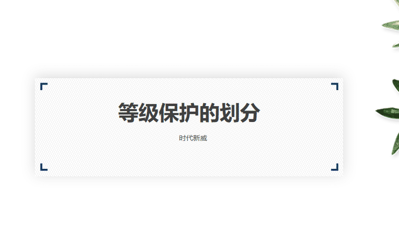 等级保护的划分